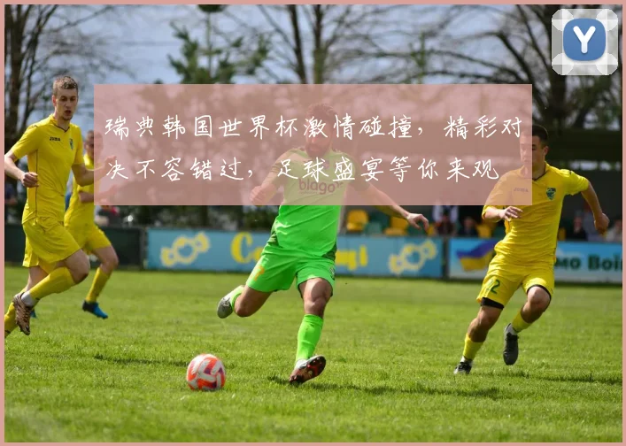 瑞典韩国世界杯激情碰撞，精彩对决不容错过，足球盛宴等你来观