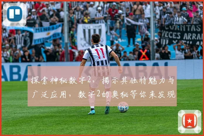 探索神秘数字2，揭示其独特魅力与广泛应用，数字2的奥秘等你来发现