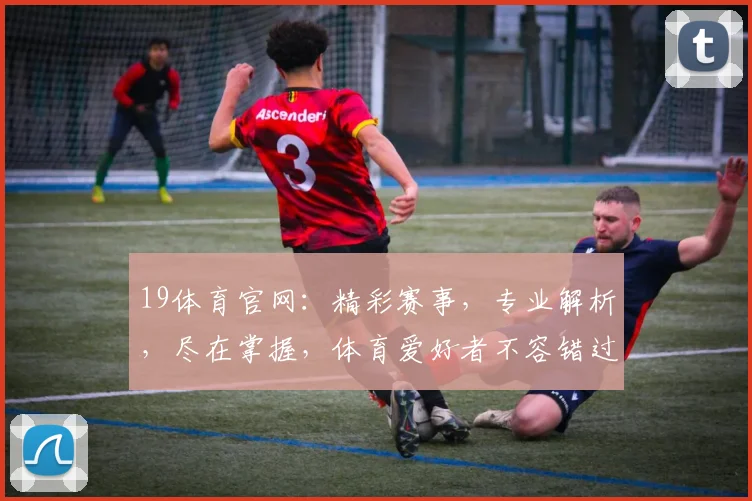 19体育官网：精彩赛事，专业解析，尽在掌握，体育爱好者不容错过